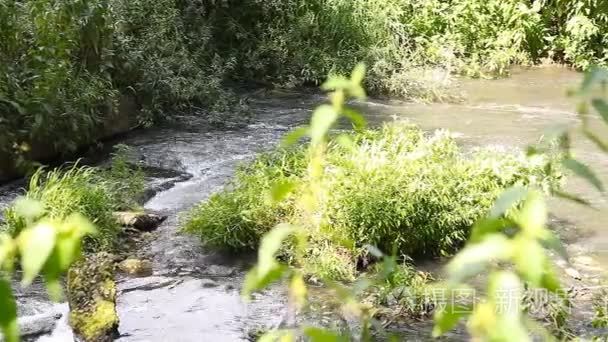 废水污水污染河流视频