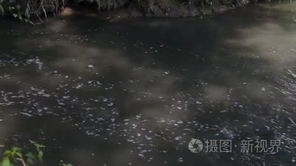 废水污水污染河流视频