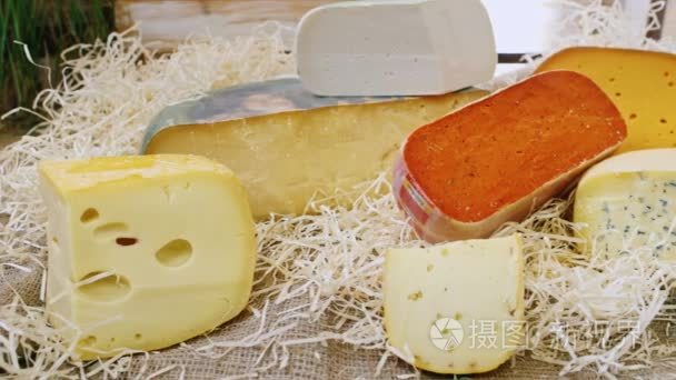 一整套不同的奶酪。摄像机沿着奶酪的件数视频