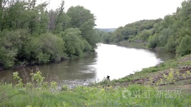 小河流穿过森林视频