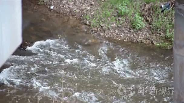 特写镜头小河流穿过森林视频