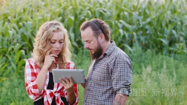 农夫男人和女人正在各地玉米田，用你的平板电脑