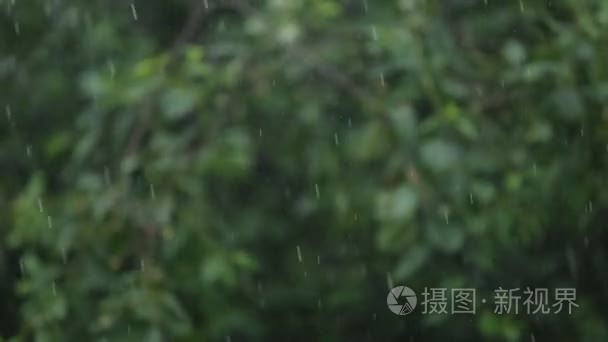 雨水落在绿色叶子背景模糊视频