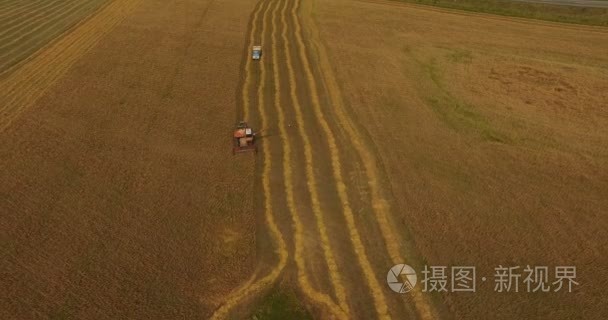 在夏日的午后结合领域收获小麦作物