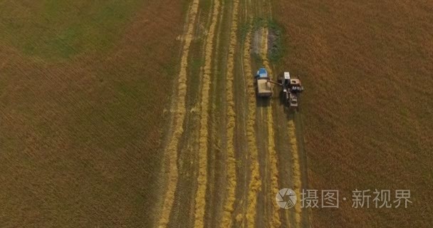 在夏日的午后结合领域收获小麦作物