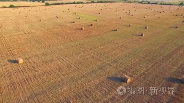 圆的稻草鸟瞰图视频