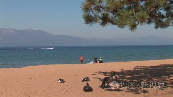 内华达州海滩在太浩湖视频