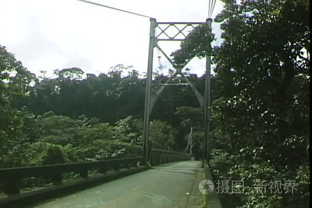 在巴西丛林汽车桥视频