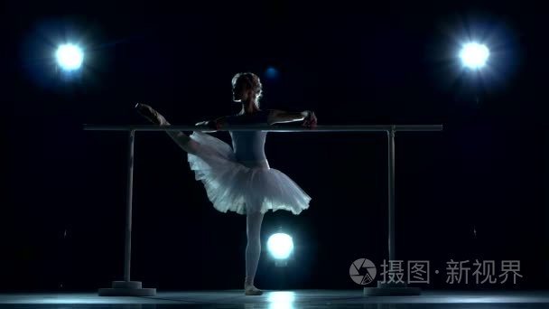 A beautiful female ballet dancer. Silhouette