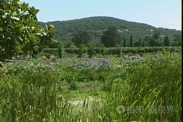 纳帕园林景观视频