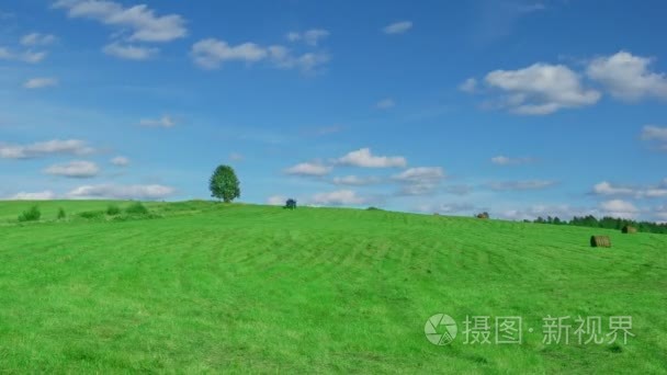 场的干草捆棵孤独的树