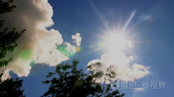 刮风的天空与树视频