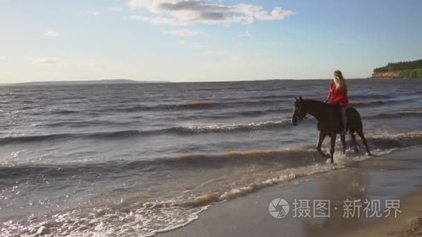 女人在水夕阳光骑着匹马在江滩视频