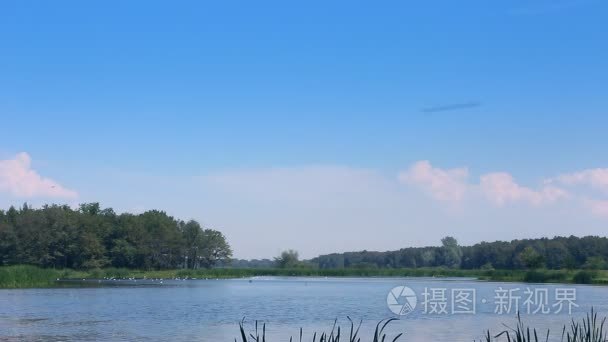 森林湖蓝色的天空视频