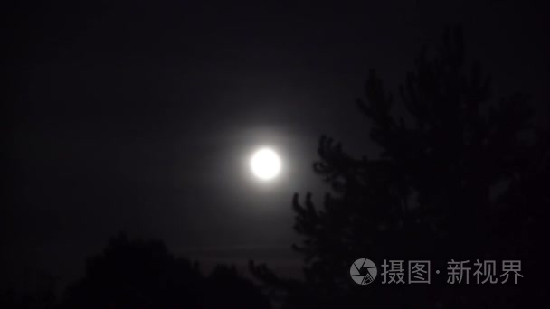 满月夜云与大的树视频