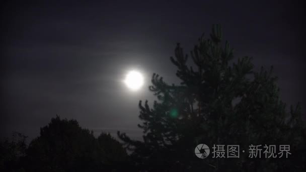 满月夜云与大的树视频