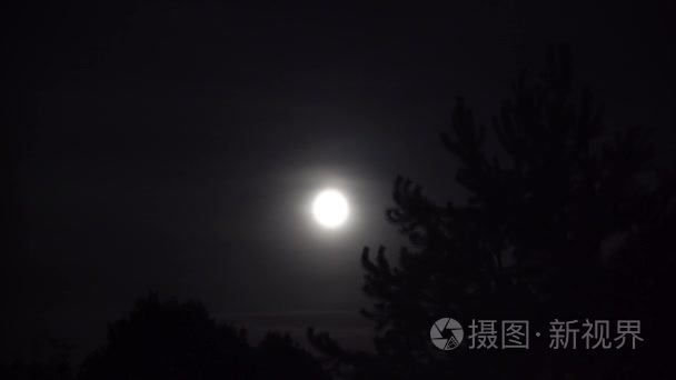 满月夜云与大的树视频