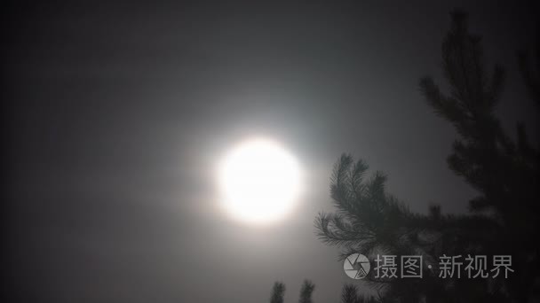 满月夜云与大的树视频