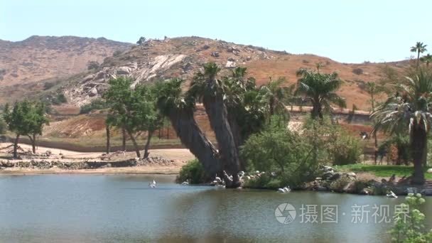 在水族馆里的一顶皇冠视频