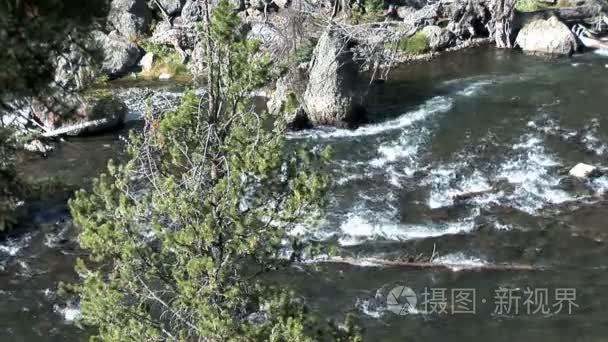 山间小溪在黄石国家公园视频