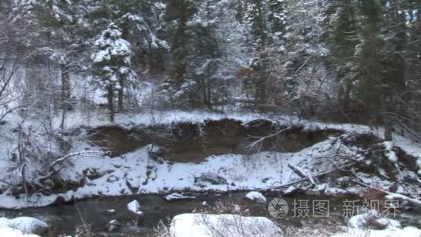 雪山溪视频