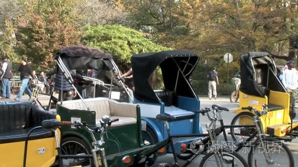 在纽约中央公园的马车自行车视频