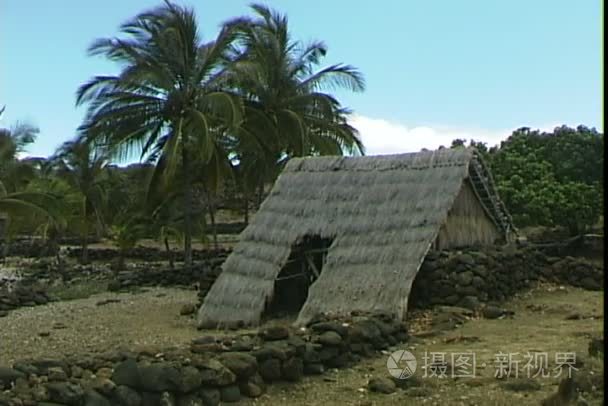 传统的夏威夷小屋视频