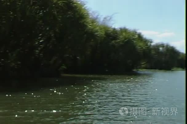 黄河在巴哈马群岛视频