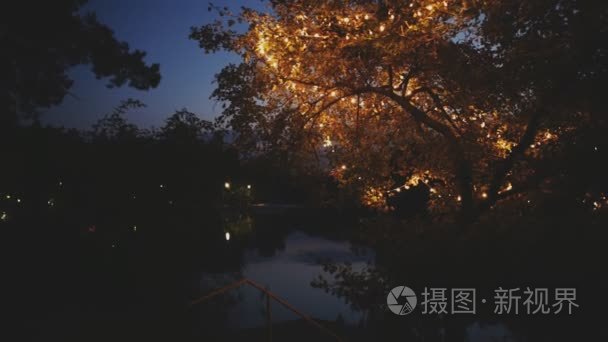 装饰灯自然树在傍晚的天空视频