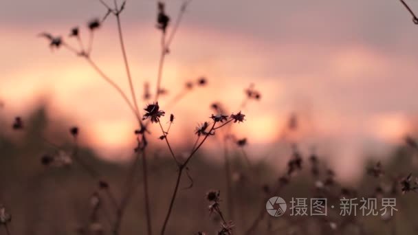 日落风景与彩霞视频