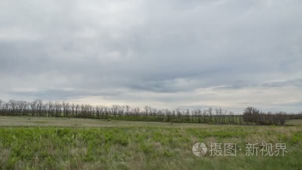 雷云在冬小麦早春在广阔的大草原的老爷子的田地，运动