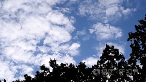 洁白的云朵将移动上面的绿树顶视频