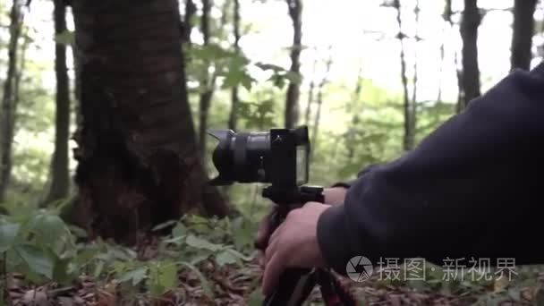 拍摄视频在森林里使用相机滑块视频