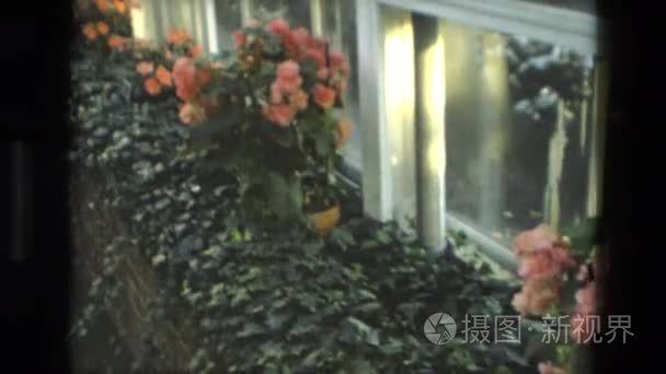 一个女人来访的玫瑰的植物园视频