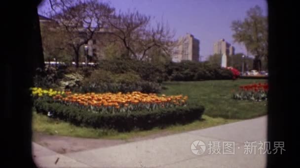 公园里到处的植物和水喷泉视频