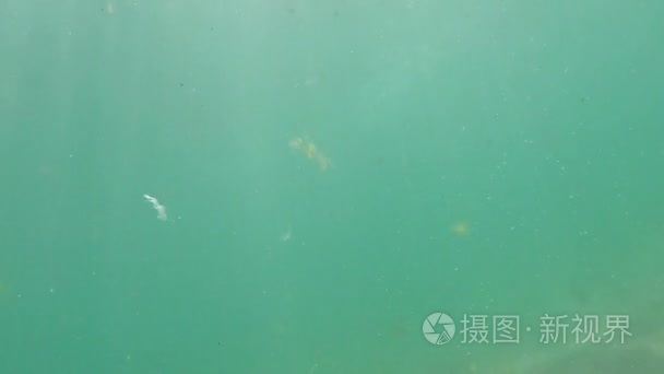 太阳光线槽水下视频