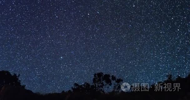 星星对树的剪影