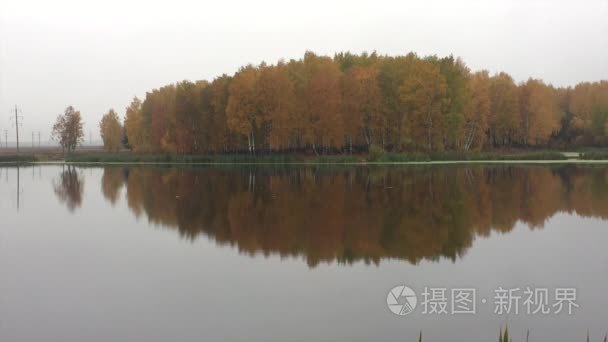 Autumn landscape (Temperate climatic zone)