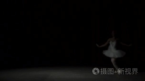 经典芭蕾舞女演员视频