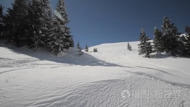 在阳光明媚的冬日骑粉的滑雪者