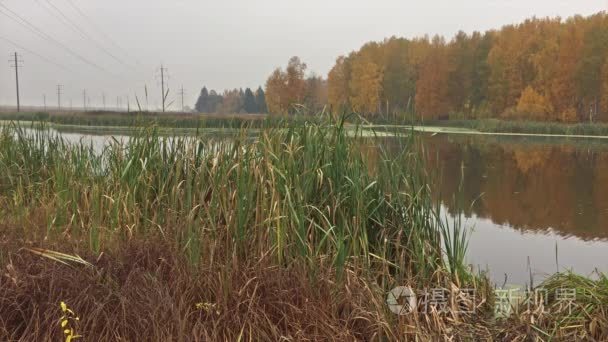 Autumn landscape Temperate climatic zone