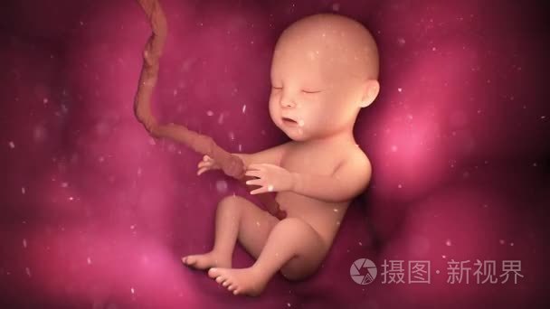 宫内视频大全