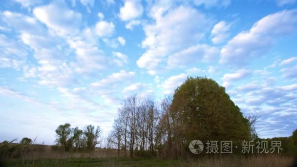    landscape  with clouds  blue sky and forest.  Time lapse.  4K