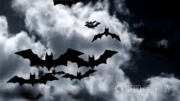 万圣节蝙蝠动画视频