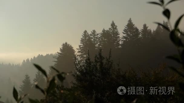 喀尔巴阡山脉在早上。全景