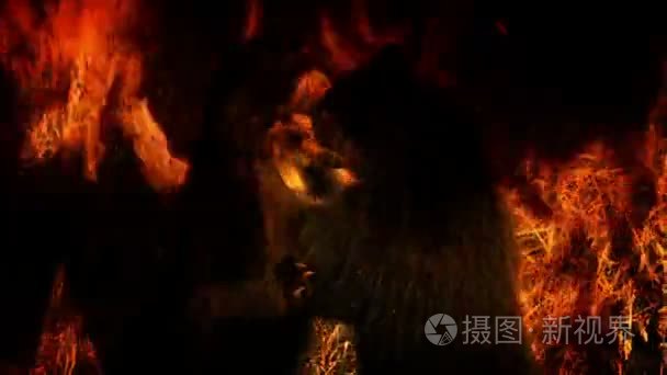 熊在火焰抽象中视频