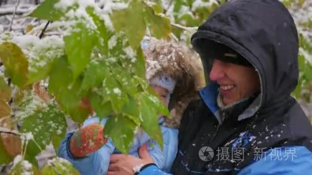 男人和孩子玩雪树分支视频