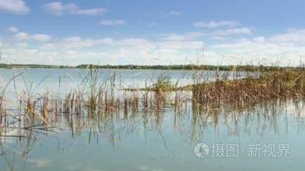 多瑙河三角洲湿地的议案视频