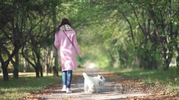 Little cute puppy on a leash. The girl in a pink coat keeps the 