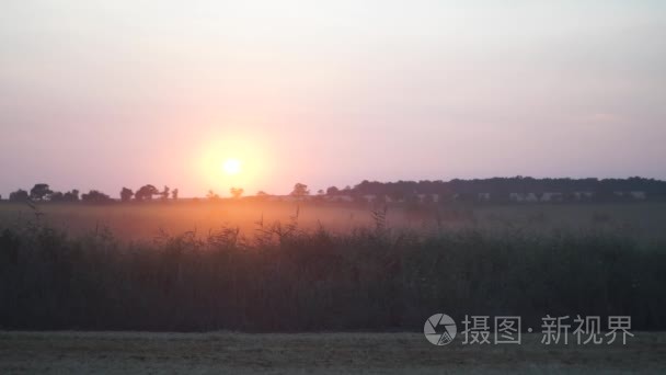 夕阳红太阳领域视频